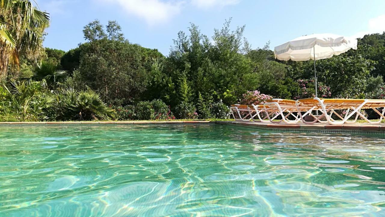 1321 Route De L'Escalet Villa Les Oliviers Ramatuelle Ngoại thất bức ảnh